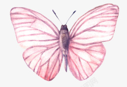 粉色粉嫩盆子手绘水彩动物蝴蝶高清图片