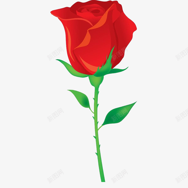 一朵玫瑰png免抠素材_新图网 https://ixintu.com 3D玫瑰 一朵玫瑰花 粉红色 红色玫瑰 芬芳的 花朵 鲜艳的