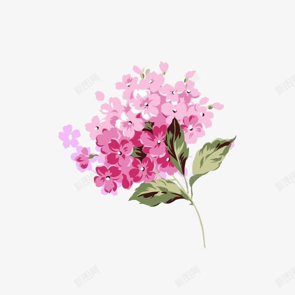 粉色绣球花png免抠素材_新图网 https://ixintu.com 植物 粉色 花卉