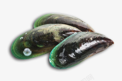 海鲜淡菜青口贝新西兰青口贝进口高清图片