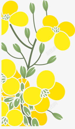 扁平风格黄色油菜花素材