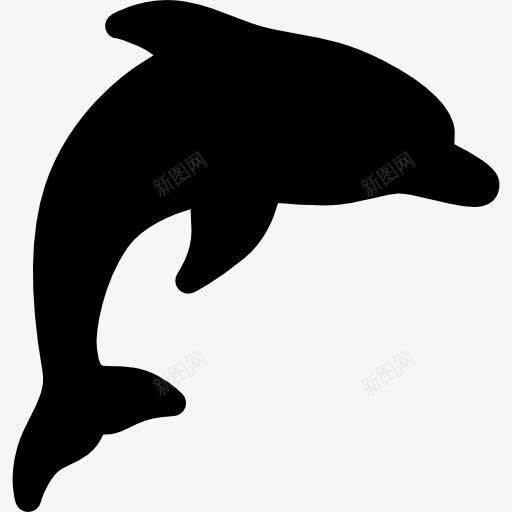海豚图标png_新图网 https://ixintu.com 动物 哺乳动物 水族馆 水生生物 海洋生物