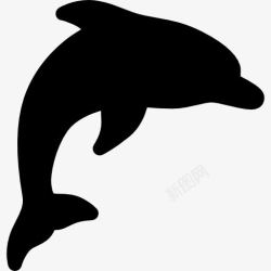 水生生物海豚图标高清图片