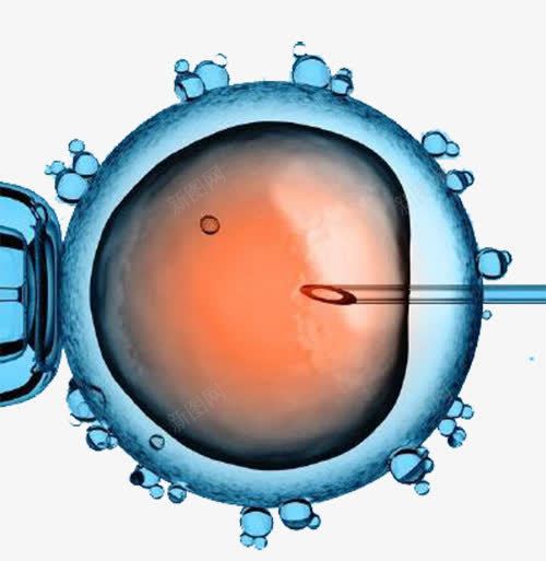 现代医学细胞研究图示png免抠素材_新图网 https://ixintu.com 健康 医学细胞 生物 研究 科学 科研 细胞