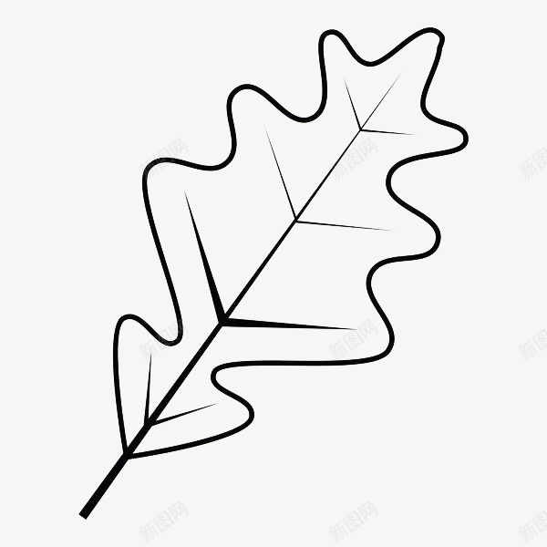 黑色树叶线条手绘图标png_新图网 https://ixintu.com 叶子 叶脉 树叶 植物 简笔画树叶 线条手绘 黑色