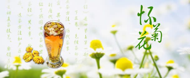 菊花花茶清新背景banner背景