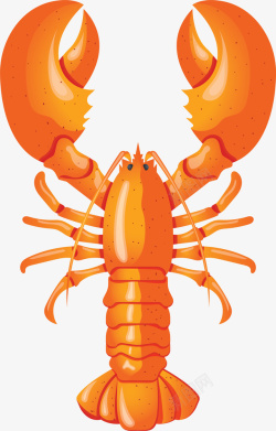 橙色龙虾橙色卡通美味龙虾高清图片