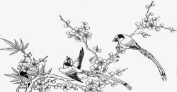 黑白树枝黑白手绘花鸟喜鹊高清图片