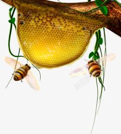 金色蜂巢蜜蜂素材