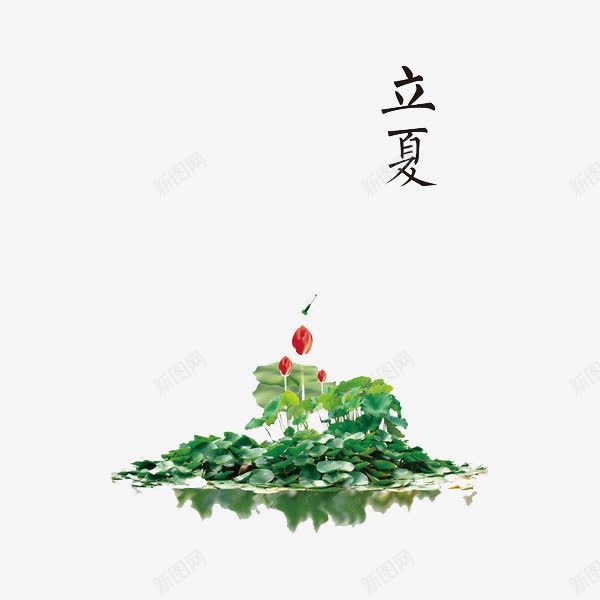 二十四节气立夏png免抠素材_新图网 https://ixintu.com 二十四节气 立夏 荷叶 荷花 莲叶 莲花