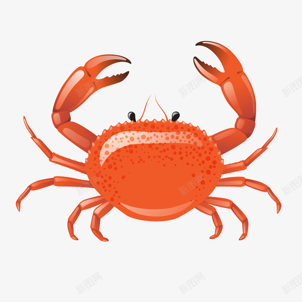 红色海鲜螃蟹水产品png免抠素材_新图网 https://ixintu.com 水产品 海鲜 红色 螃蟹