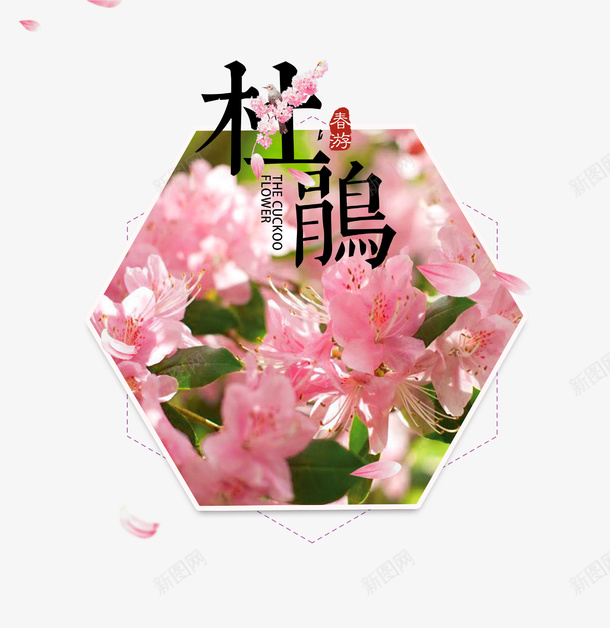 粉红色清新唯美杜鹃图标psd_新图网 https://ixintu.com 六边形 几何 图标 春季 杜鹃 清新 粉红色 花朵