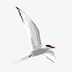 白色禽类水墨画飞翔鸥高清图片