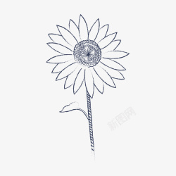 铅笔画花朵笔刷手绘太阳花高清图片