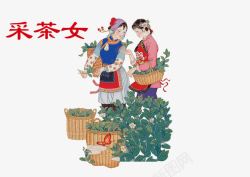 采茶女茶素材