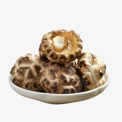 椴木野生菌菇椴木小花菇高清图片