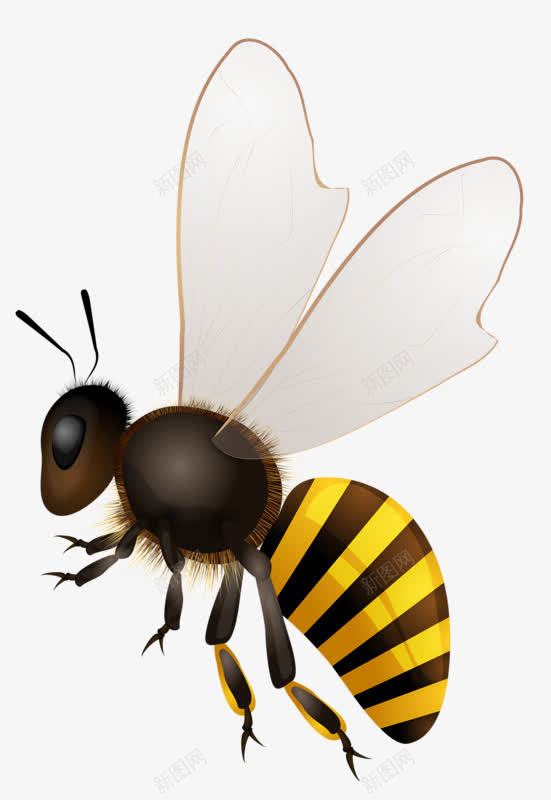 手绘昆虫蜜蜂png免抠素材_新图网 https://ixintu.com 勤劳 生物生命 翅膀 蜂类 黄色