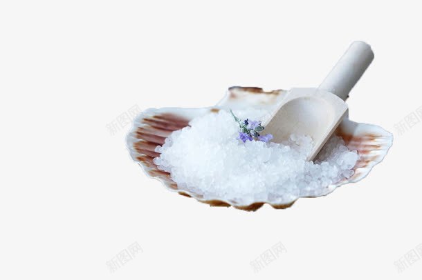 白色蚌壳与海盐png免抠素材_新图网 https://ixintu.com 晶体 海盐 白色 盐巴 盐晶 蚌壳