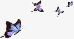 纷飞的蝴蝶蓝色纷飞创意蝴蝶高清图片