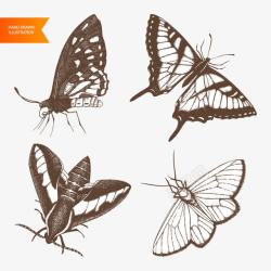 素描蝴蝶和飞蛾素材