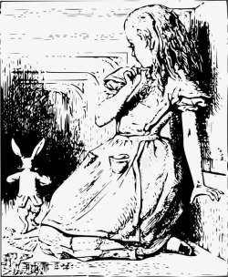 爱丽丝喇叭兔爱丽丝梦游仙境高清图片