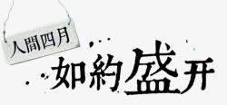 春暖四月如约盛开高清图片