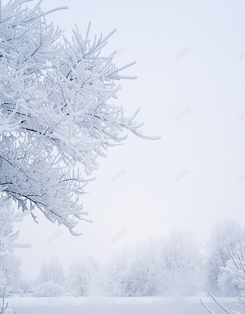 冬天洁白雪景手机端H5背景jpg设计背景_新图网 https://ixintu.com H5背景 冬天 冬天雪景 寒冷 手机端 景色 树枝 洁白 美景 背景 雪 雪景 雪景背景