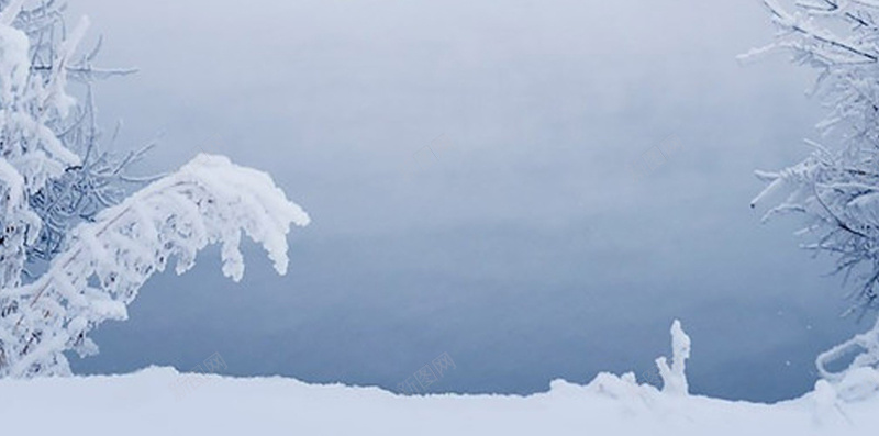 冬天洁白雪景手机端H5背景jpg设计背景_新图网 https://ixintu.com H5背景 冬天 冬天雪景 寒冷 手机端 景色 树枝 洁白 美景 背景 雪 雪景 雪景背景