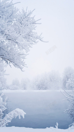 洁白的雪冬天洁白雪景手机端H5背景高清图片