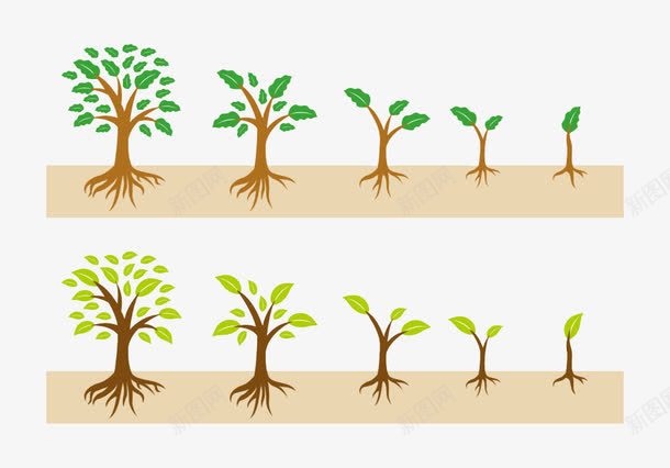 树木排列png免抠素材_新图网 https://ixintu.com 大小排列 手绘 树叶 树根 粉色大地