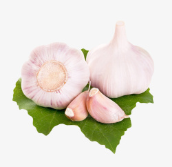 紫皮大蒜头白色健康佐料放在叶子上的大蒜头高清图片