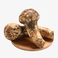 椴木野生菌菇野生菌菇高清图片