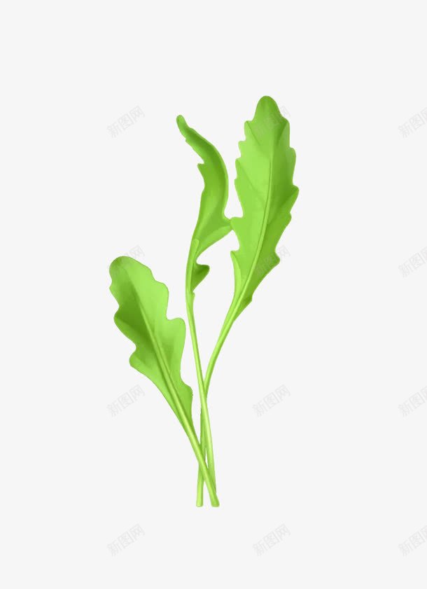卡通菠菜png免抠素材_新图网 https://ixintu.com 绿色蔬菜 菜叶 菠菜