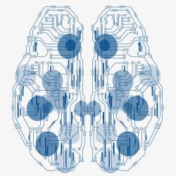 脑部电路图脑部电路图图标高清图片