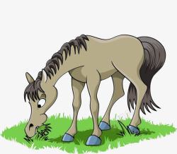 低头小马吃草高清图片