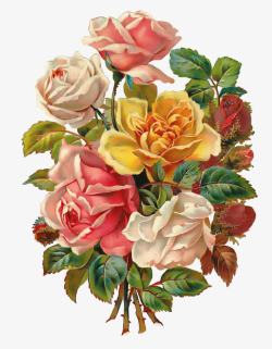 玫瑰花抽象抽象花朵花束唯美玫瑰花高清图片