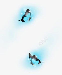 成双成对的蝴蝶成双成对的蝴蝶高清图片