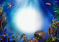 带鱼海底世界相框高清图片