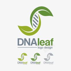 楂樻鍖呰绿叶DNA高清图片