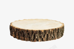 干瘪黑色干瘪的树皮木头截面实物高清图片