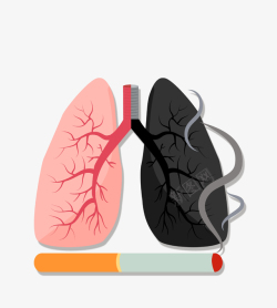 肺部与香烟卡通创意吸烟有害健康公益广告插高清图片