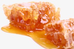 蜂糖蜂蜜食物高清图片