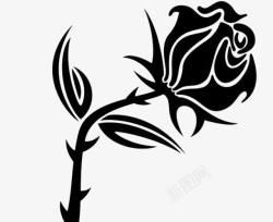 暗黑玫瑰带刺的玫瑰高清图片