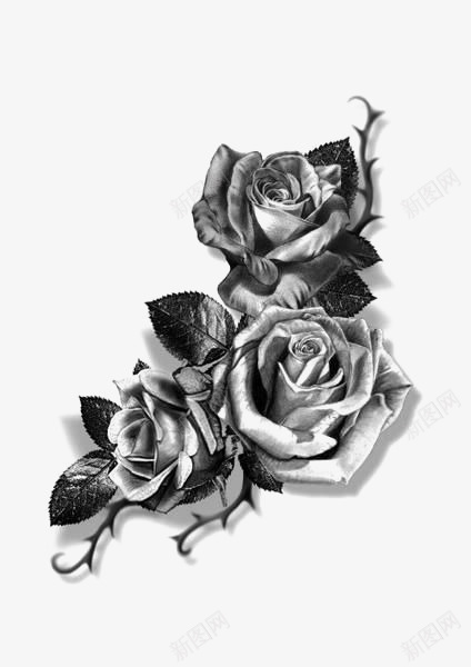 素描玫瑰png免抠素材_新图网 https://ixintu.com 创意花朵 玫瑰印花 玫瑰纹身 玫瑰花 花朵 黑色玫瑰