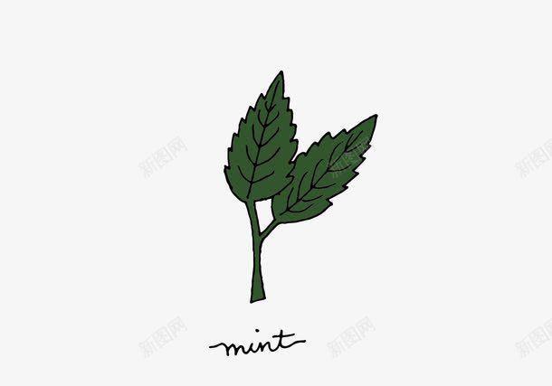 手绘草药薄荷矢量图ai免抠素材_新图网 https://ixintu.com 手绘图片 植物 草药 薄荷叶 矢量图