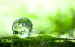 绿色环保景色玻璃球景色绿色环保青苔高清图片
