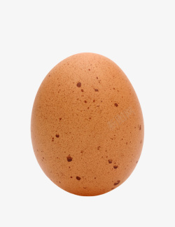 斑点鸡蛋褐色鸡蛋带黑子斑点的初生蛋实物高清图片