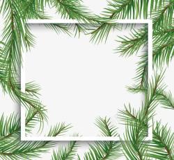 节日相框生动的绿色松树枝边框高清图片