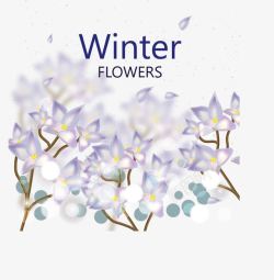 淡紫色的浪漫的冬日花朵高清图片