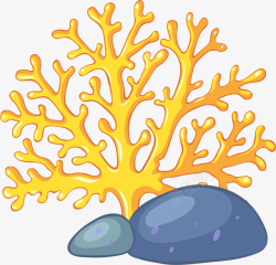 一株植物海洋植物美丽珊瑚高清图片